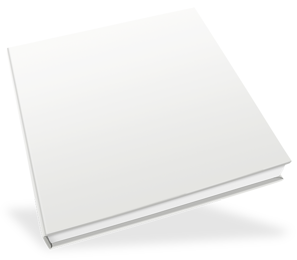 Klappschachtel 25 x 25 cm, mit Bildausschnitt, Innenschachtel weiß Klappschachtel 25 x 25 cm, mit Bildausschnitt, Innenschachtel weiß