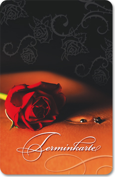 Terminkarte "belly button" Terminkarte "belly button"